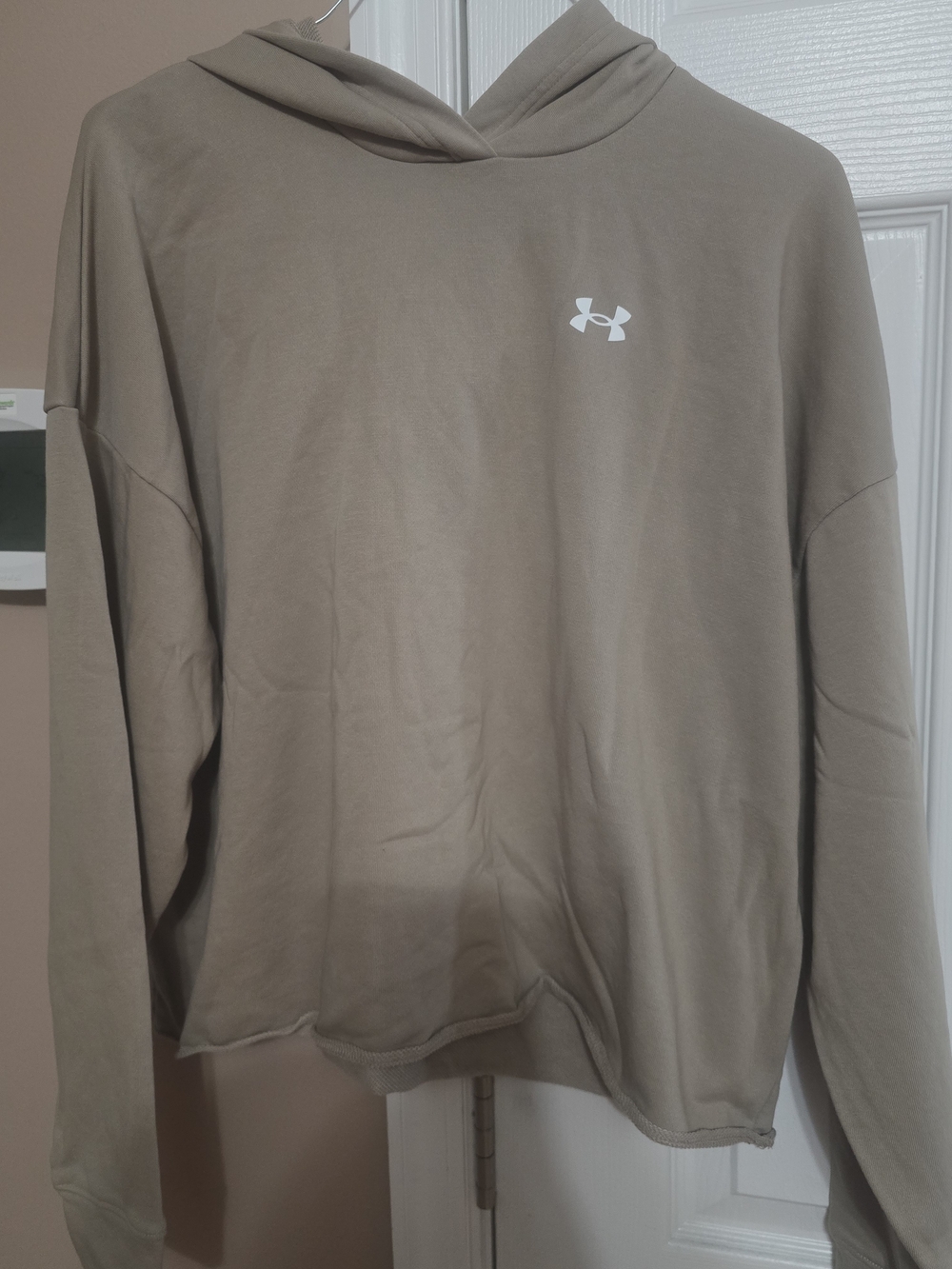 Under Armour Womens Oversized Cropped Hoodie in Taupe